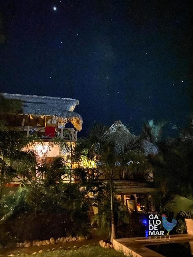 Hotel Gallo De Mar بويرتو إسكونديدو المظهر الخارجي الصورة