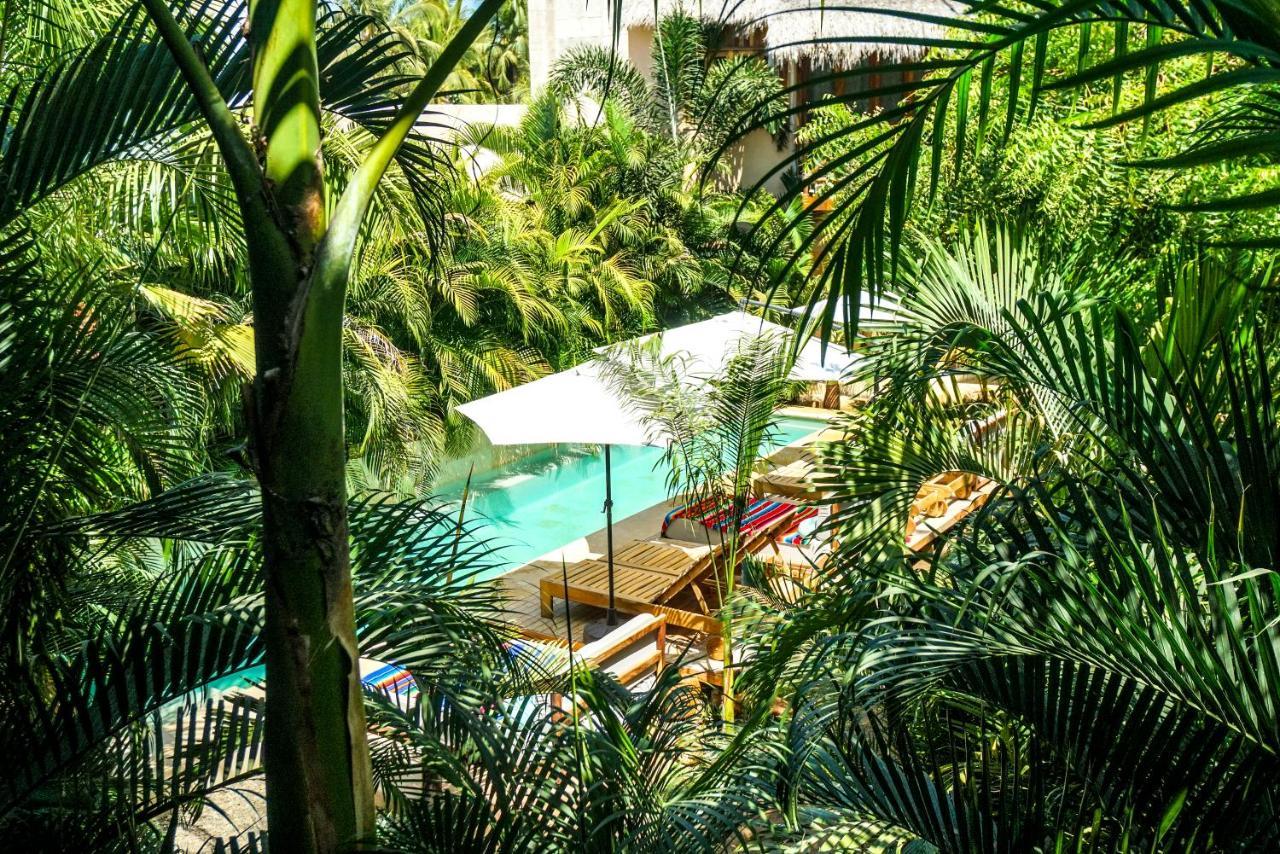 Hotel Gallo De Mar بويرتو إسكونديدو المظهر الخارجي الصورة
